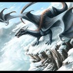 Драконы Снежный дракон аватар