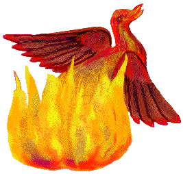 Драконы Феникс в огне аватар
