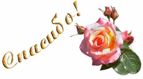 Благодарю, спасибо Спасибо! Прекрасная бело-розовая роза с бутонами аватар