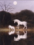 Единороги, лошади Белые единороги у воды аватар