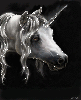 Единороги, лошади Белый единорог аватар