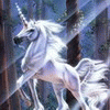 Единороги, лошади Единорог в бликах солнечных лучей аватар
