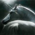 Единороги, лошади Единорог в пол оборота аватар
