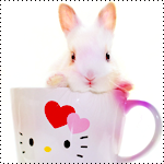 Зайцы Кролик выглядывает с чашки аватар