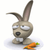Зайцы Кролик с марковкой аватар