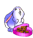 Зайцы Зайка ест конфеты аватар