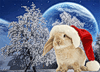 Зайцы Зайка в новогоднем колпачке на фоне луны аватар