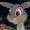 Зайцы Кролик  из мультфильма бэмби шевелит носом аватар
