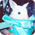 Зайцы Кролик в голубой чашке аватар