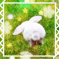 Зайцы Белый кролик скачет по траве аватар
