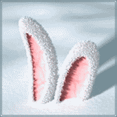 Зайцы Ушки зайки дрожат над снегом, покрывающим его аватар
