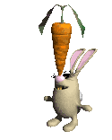 Зайцы Зайка с морковкой на носу аватар