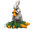 Зайцы Зайка с морковкой аватар