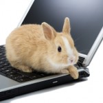 Зайцы Кролик на ноутбуке аватар