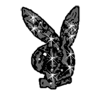 Зайцы Мраморный кролик плейбой аватар