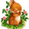 Зайцы Кролк в цветочках аватар