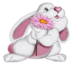Зайцы Зайка с цветком аватар