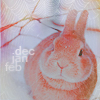 Зайцы Рыжий заяц (dec jan feb) аватар