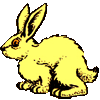 Зайцы Заяц желтый аватар