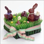 Зайцы Шоколадные кролики в коробочке к празднику пасхи аватар