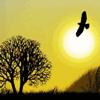 Рассветы, закаты Птичка, летящая на закате солнца аватар