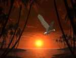 Рассветы, закаты Орёл над морём во время заката аватар