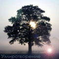Рассветы, закаты Дерево в свете солнечного заката (умиротворение) аватар