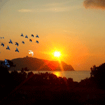 Рассветы, закаты Косяк птиц улетает вдаль на закате дня аватар