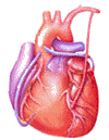 Здоровье Сердце пульсирует аватар