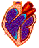Здоровье Таблица-сердце аватар