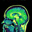 Здоровье Светящийся головной мозг аватар