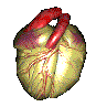 Здоровье Муляж сердца аватар