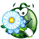 Зеленые смайлы Смайлик-арбуз с большой ромашкой аватар