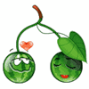Зеленые смайлы Влюбленность арбузиков аватар