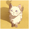 Зима Анимешный котик аватар