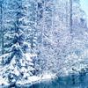 Зима Зима, снег, природа, лес в снегу аватар