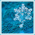 Зима Снежинка красива аватар