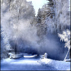 Зима Красивый зимний пейзаж аватар
