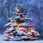 Зима Украшенная разноцветными гирляндами ёлка в зимнем лесу аватар