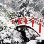 Зима Зимний мост аватар