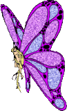 Блестящие картинки Бабочка фиолетовая аватар