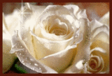 Блестящие картинки Роза белая аватар