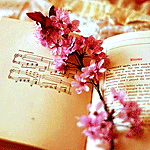 Книги, библиотека Ветка с розовыми цветочками лежит на книге аватар