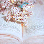 Книги, библиотека Веточка цветов на раскрытой книге аватар