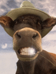 Домашние животные козы, овцы, коровы, свиньи Улыбка коровы в шляпе аватар