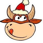 Домашние животные козы, овцы, коровы, свиньи Бык в новогодней шапке аватар