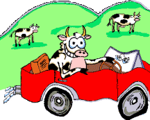 Домашние животные козы, овцы, коровы, свиньи Бык едет на машине аватар