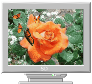 Компьютер, телевизор, телефон, фото Роза на мониторе аватар