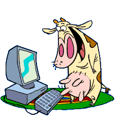 Компьютер, телевизор, телефон, фото Корова за компьютером аватар