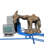 Компьютер, телевизор, телефон, фото Верблюд с ПК аватар
